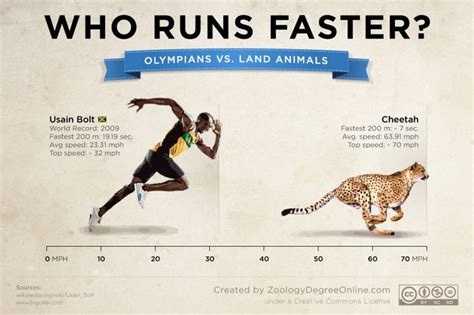 How Long Does It Take to Get Faster at Running and Why Do Bananas Make You Run Like a Cheetah?